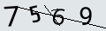 verifycode